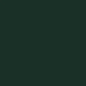 PAL melaminat verde brad U699 st9