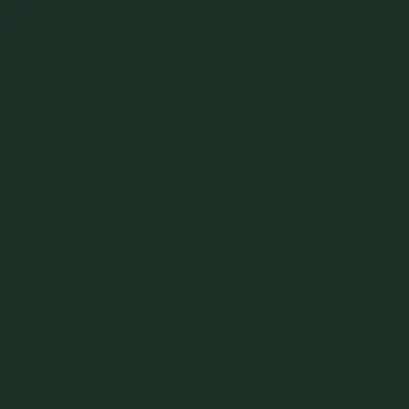 PAL melaminat verde brad U699 st9